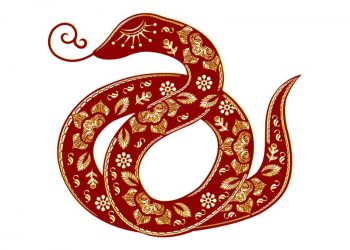 1989 hợp hướng nào