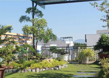 Hướng Dẫn Làm Vườn Sân Thượng Cho Cây Xanh Tốt