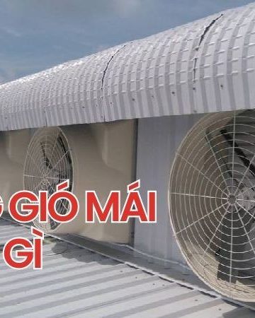 thong gio mai ton